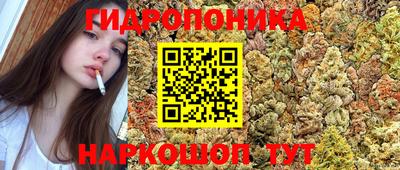 гидра Малгобек