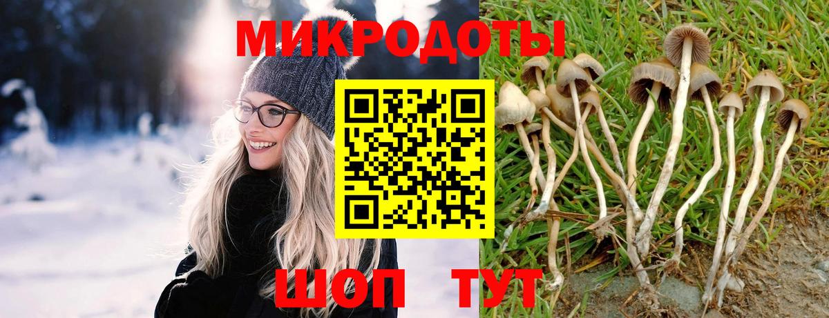 Галлюциногенные грибы мицелий  Вход с VPN  Псилоцибиновые грибы Psilocybe  Владивосток 