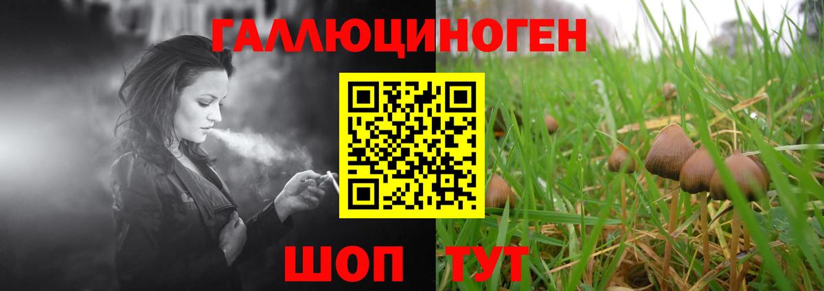 Галлюциногенные грибы Cubensis Владивосток